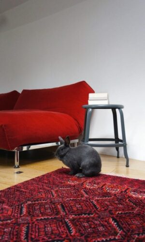 Chaises Nicolle metal chair, 45-cm in height.